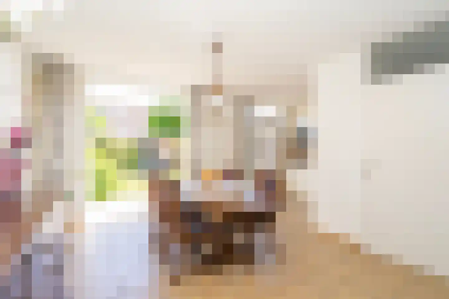 Hontenissestraat 46 Tilburg thumbnail 17