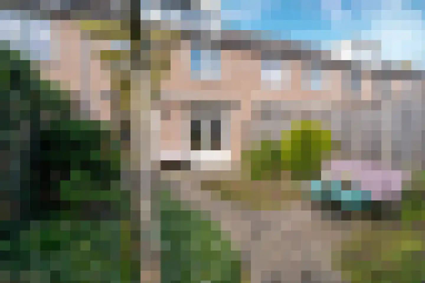 Hontenissestraat 46 Tilburg thumbnail 24