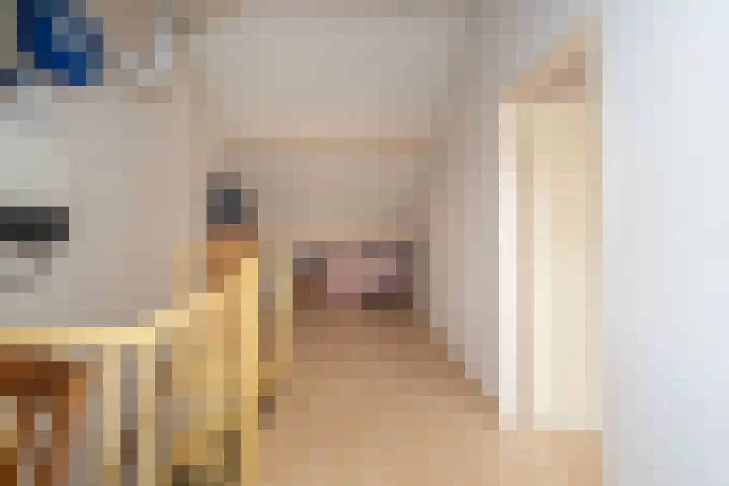 Hontenissestraat 46 Tilburg thumbnail 35