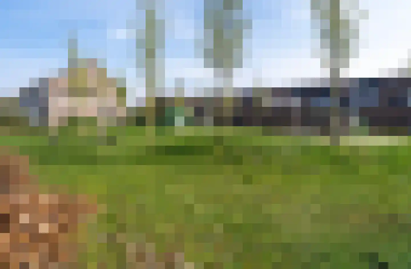 Hontenissestraat 46 Tilburg thumbnail 41