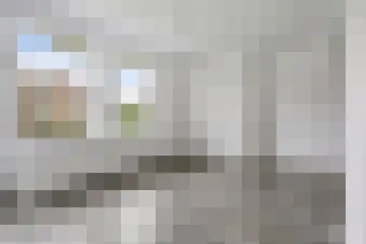 Hontenissestraat 80 Rotterdam thumbnail 4