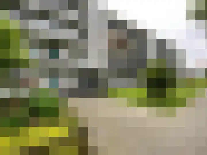 Hontenissestraat 99 in Rotterdam