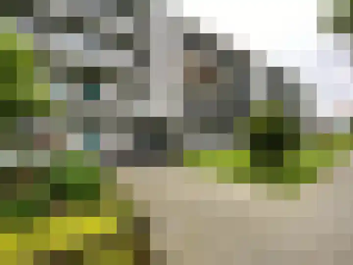 Hontenissestraat 99 Rotterdam thumbnail 13