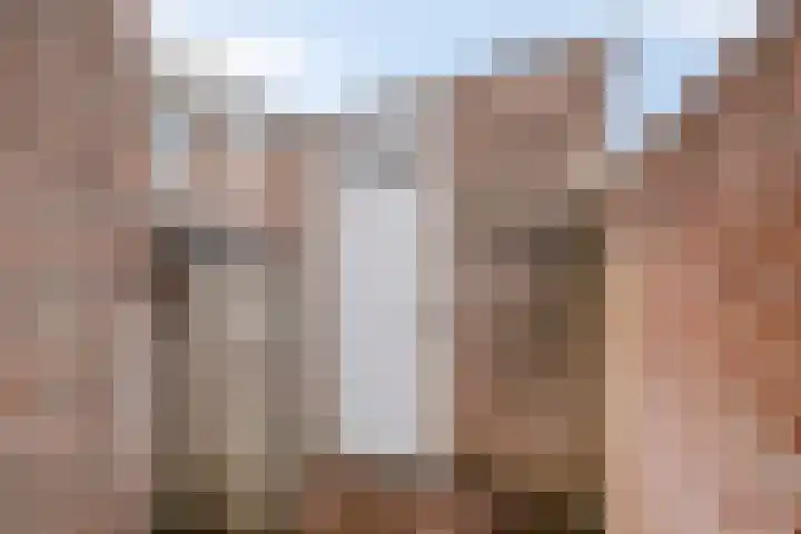 Hontestraat 10 Bergen op Zoom thumbnail 24