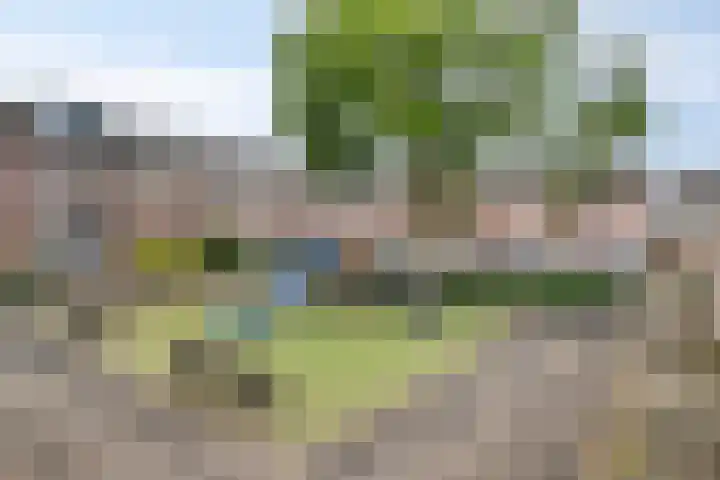 Hontestraat 10 Bergen op Zoom thumbnail 25