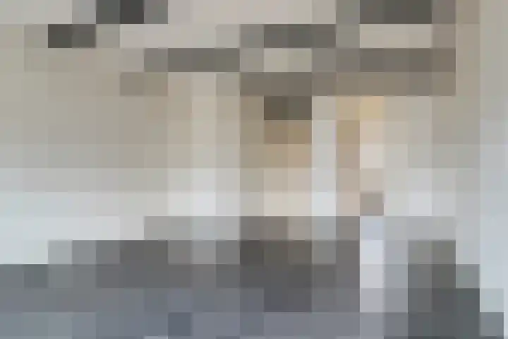Hontestraat 10 Bergen op Zoom thumbnail 7