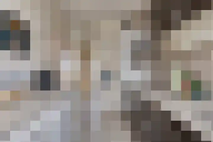 Hontestraat 14 Rilland thumbnail 12