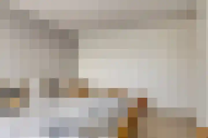 Hontestraat 14 Rilland thumbnail 14