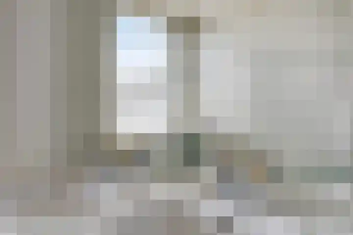 Hontestraat 14 Rilland thumbnail 16