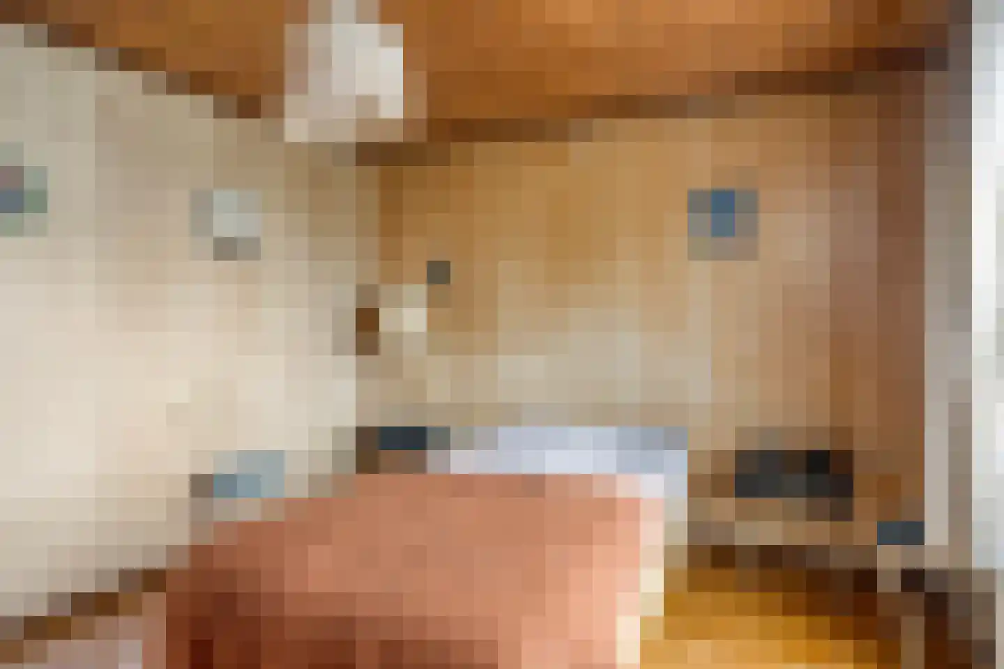 Honthem 11 Margraten thumbnail 19