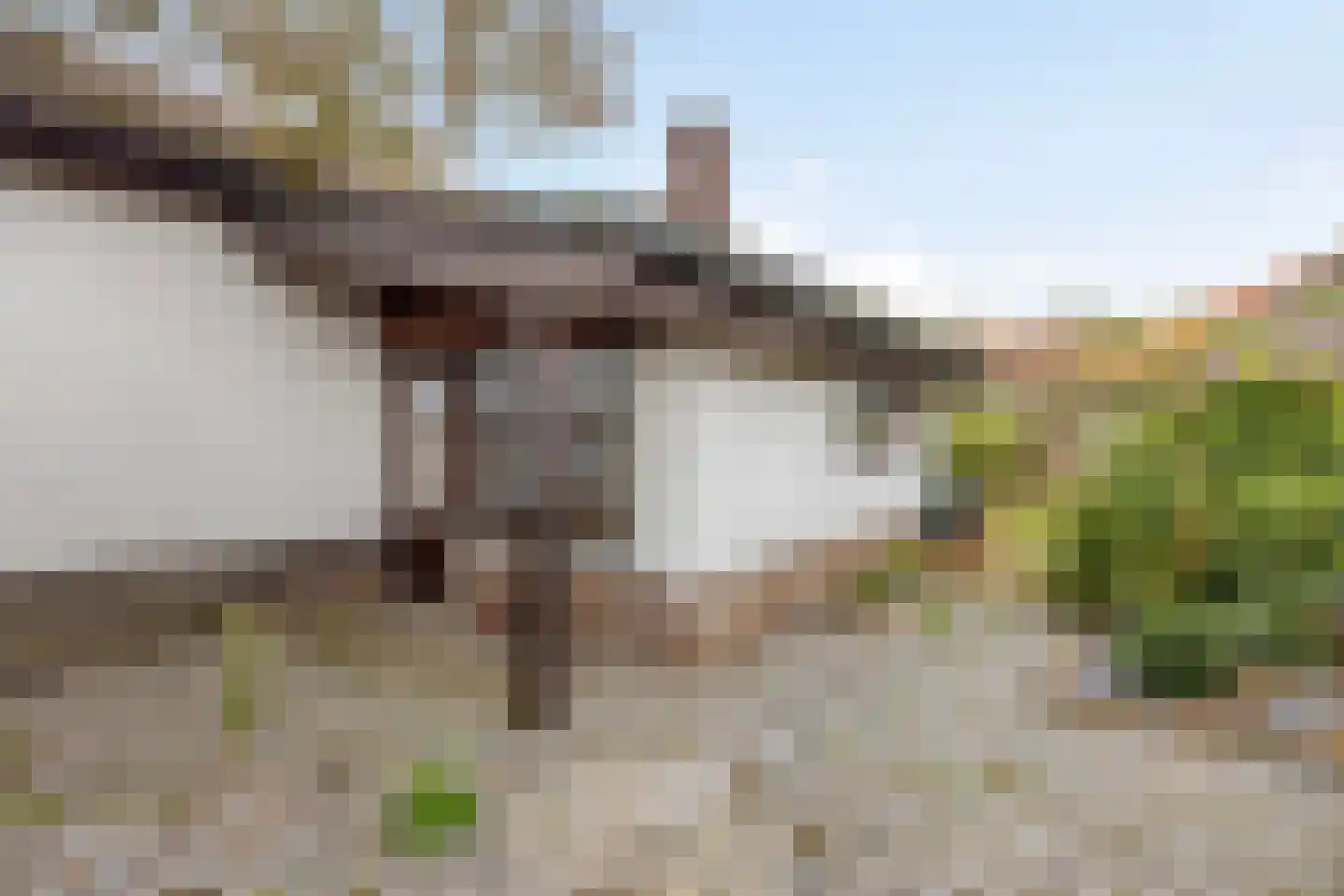 Honthem 11 Margraten thumbnail 30