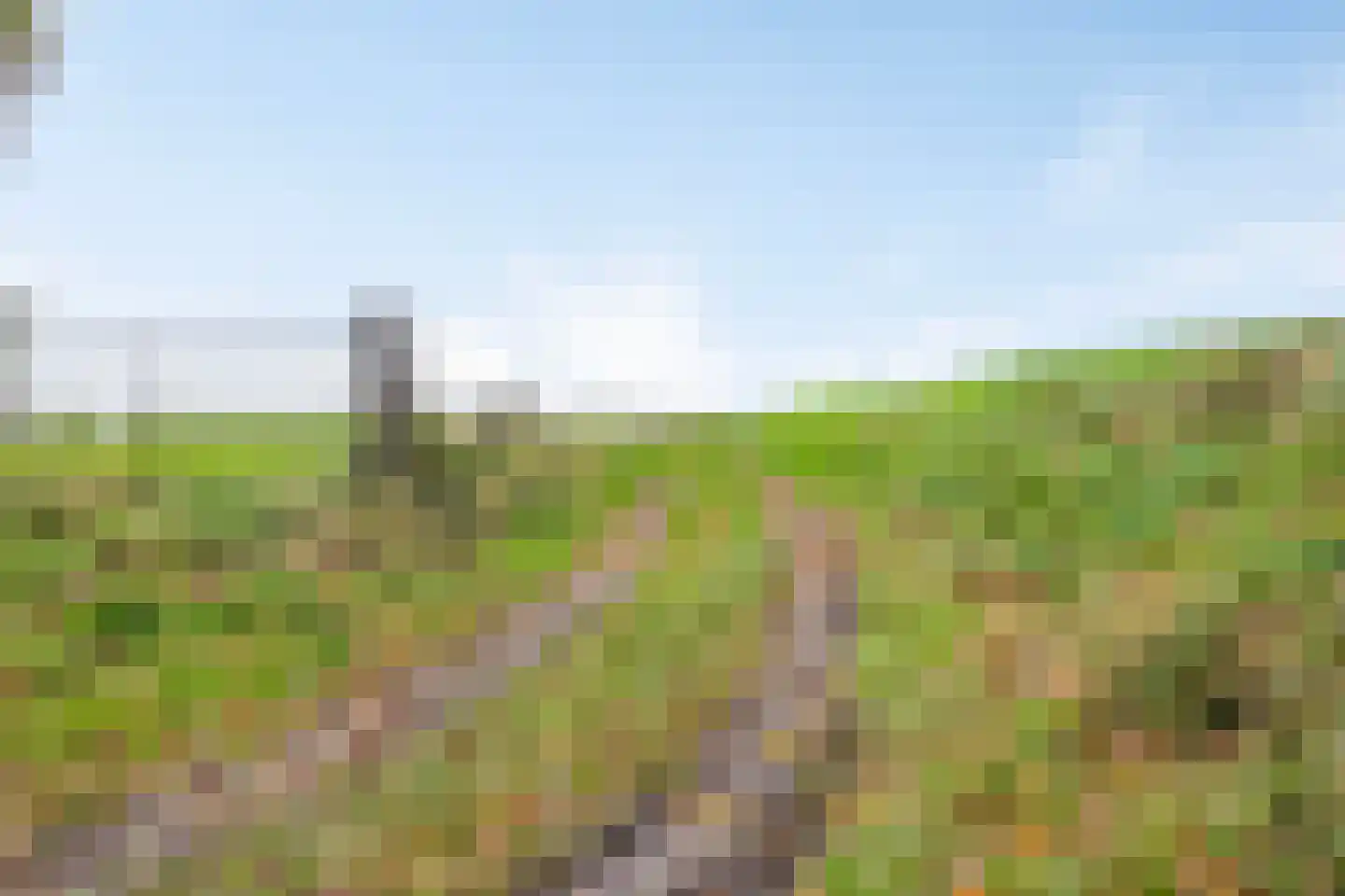 Honthem 11 Margraten thumbnail 34