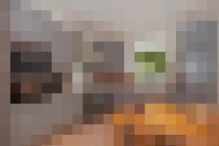Honthem 26 Margraten thumbnail 12