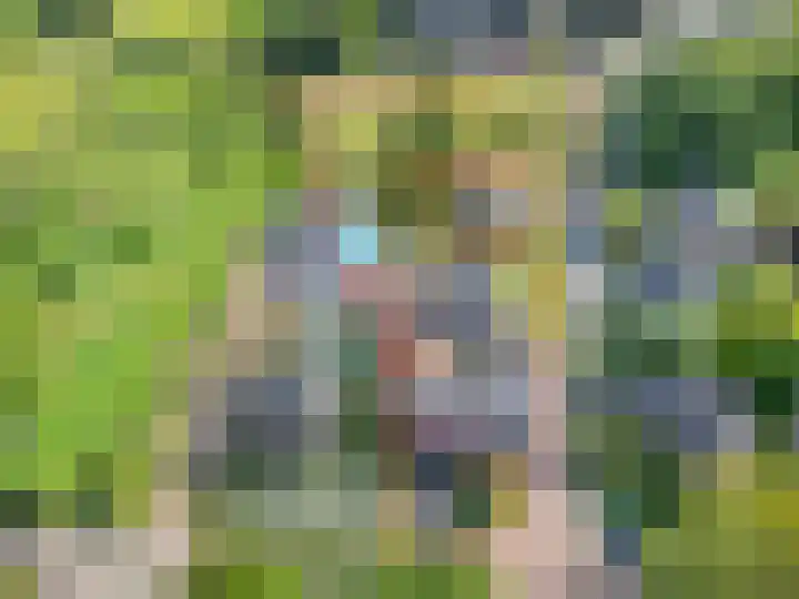 Honthem 26 Margraten thumbnail 54