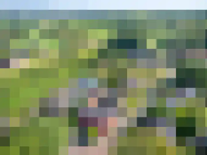 Honthem 26 Margraten thumbnail 55