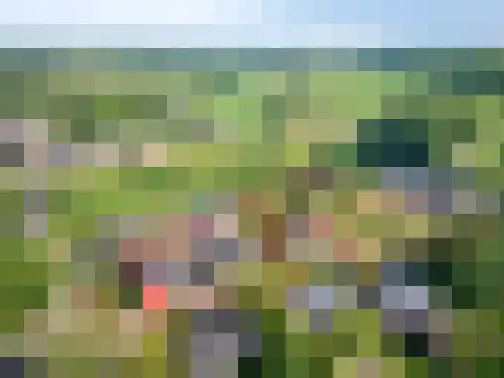 Honthem 26 Margraten thumbnail 56