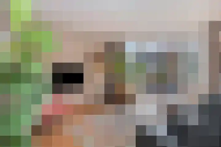 Honthem 26 Margraten thumbnail 7