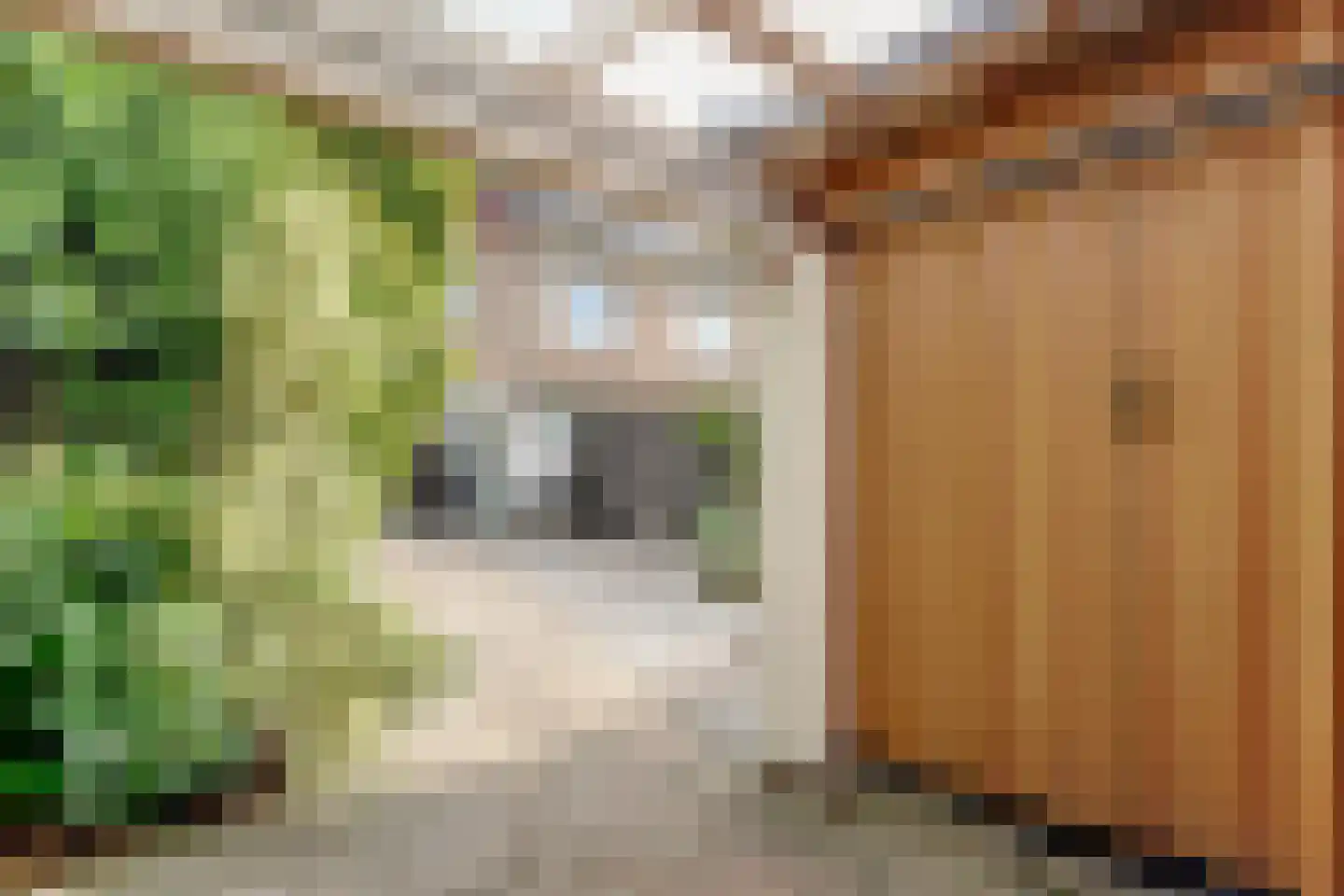 Honthorstlaan 12 Heerhugowaard thumbnail 39