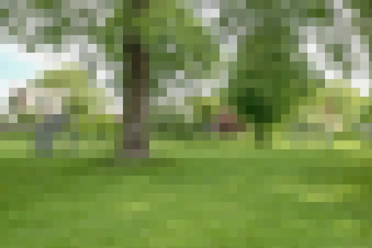 Honthorstlaan 12 Heerhugowaard thumbnail 44