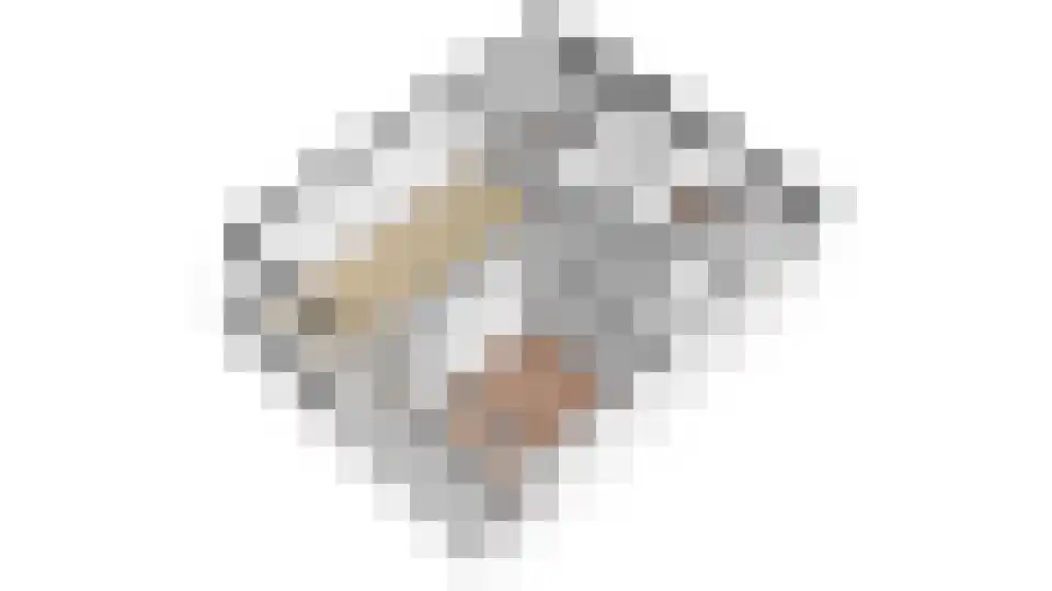 Honthorstlaan 130 Alkmaar thumbnail 37