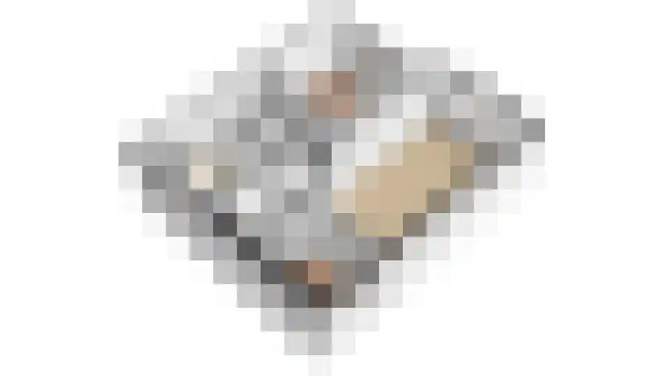 Honthorstlaan 130 Alkmaar thumbnail 38