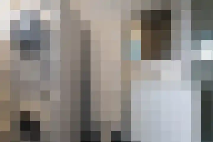 Honthorstlaan 14 Alkmaar thumbnail 10