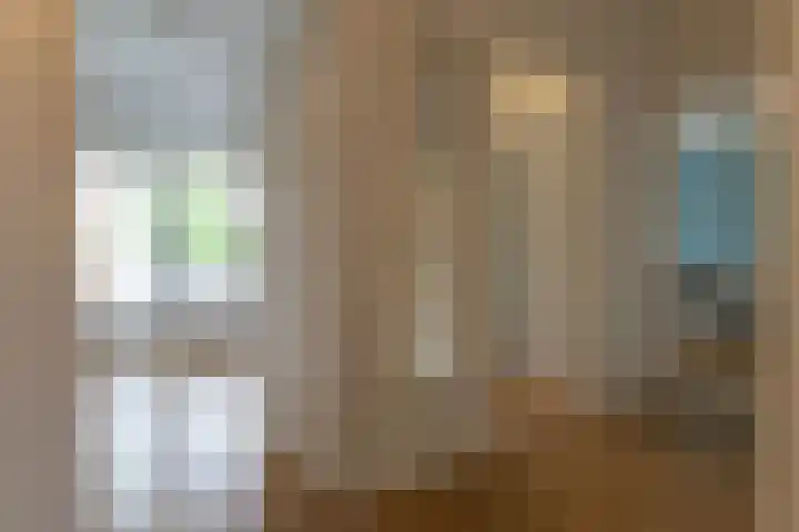 Honthorstlaan 14 Alkmaar thumbnail 13