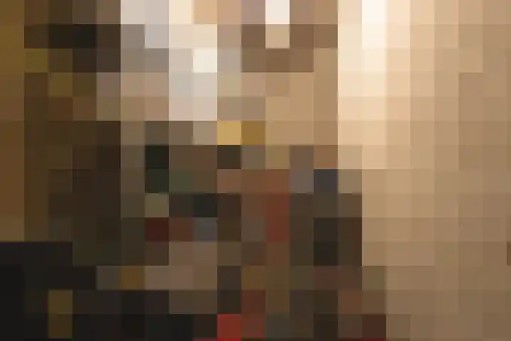 Honthorstlaan 14 Alkmaar thumbnail 25