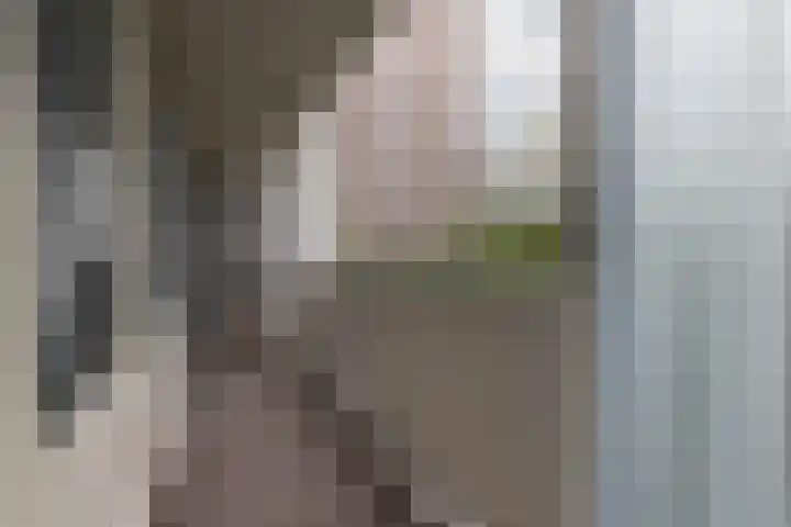 Honthorstlaan 14 Alkmaar thumbnail 4