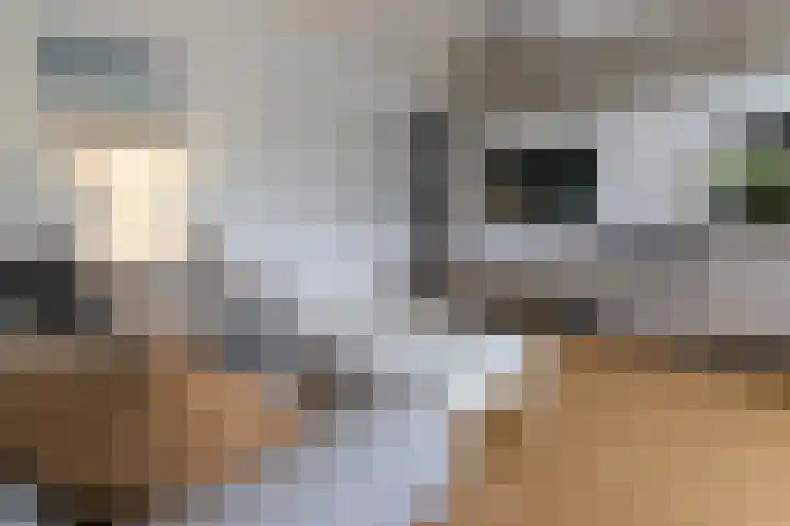 Honthorstlaan 14 Alkmaar thumbnail 5