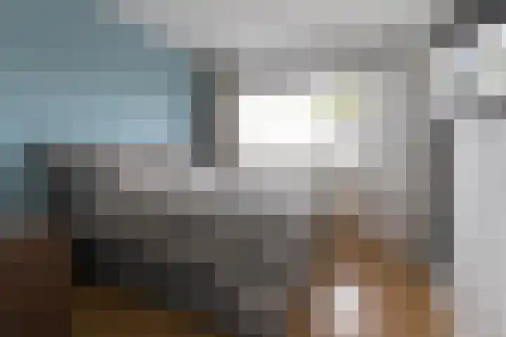 Honthorstlaan 14 Alkmaar thumbnail 8