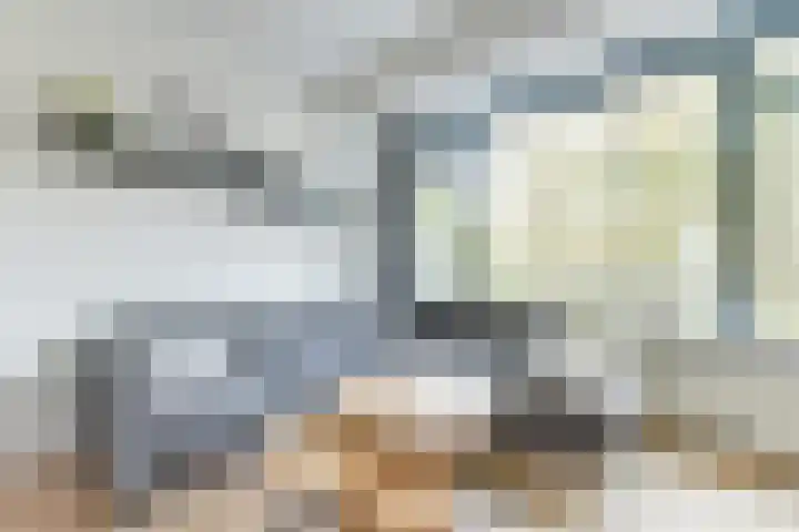 Honthorstlaan 150 Alkmaar thumbnail 15