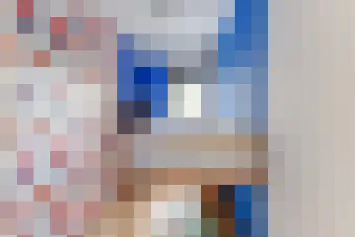 Honthorstlaan 150 Alkmaar thumbnail 25