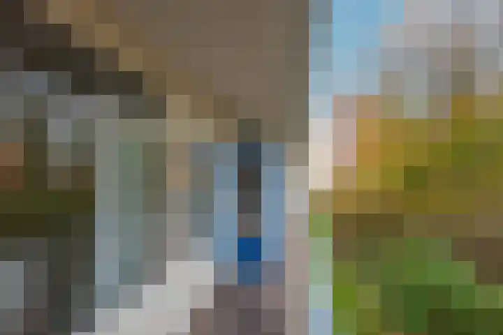 Honthorstlaan 150 Alkmaar thumbnail 32