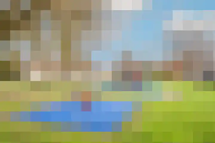 Honthorstlaan 150 Alkmaar thumbnail 33