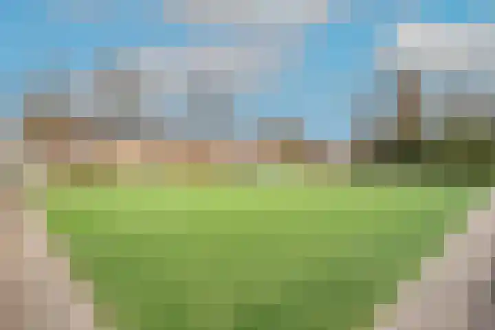 Honthorstlaan 150 Alkmaar thumbnail 34