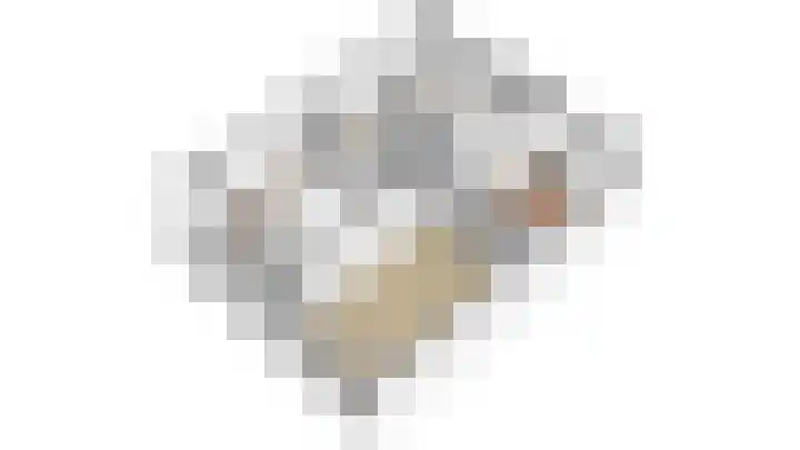 Honthorstlaan 150 Alkmaar thumbnail 39