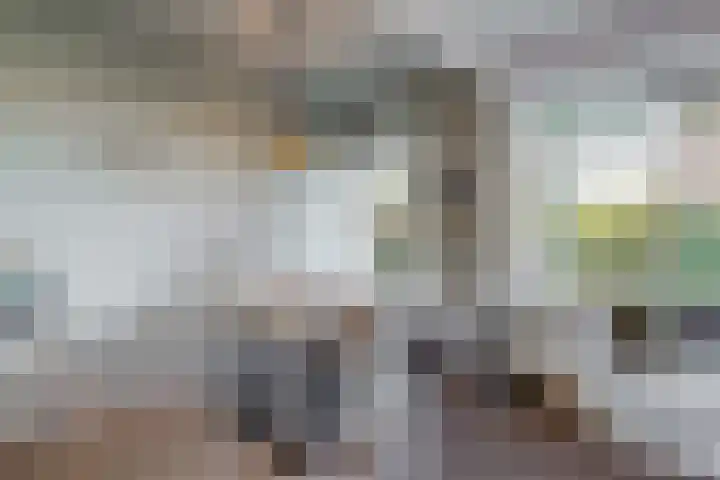 Honthorstlaan 18 Alkmaar thumbnail 12