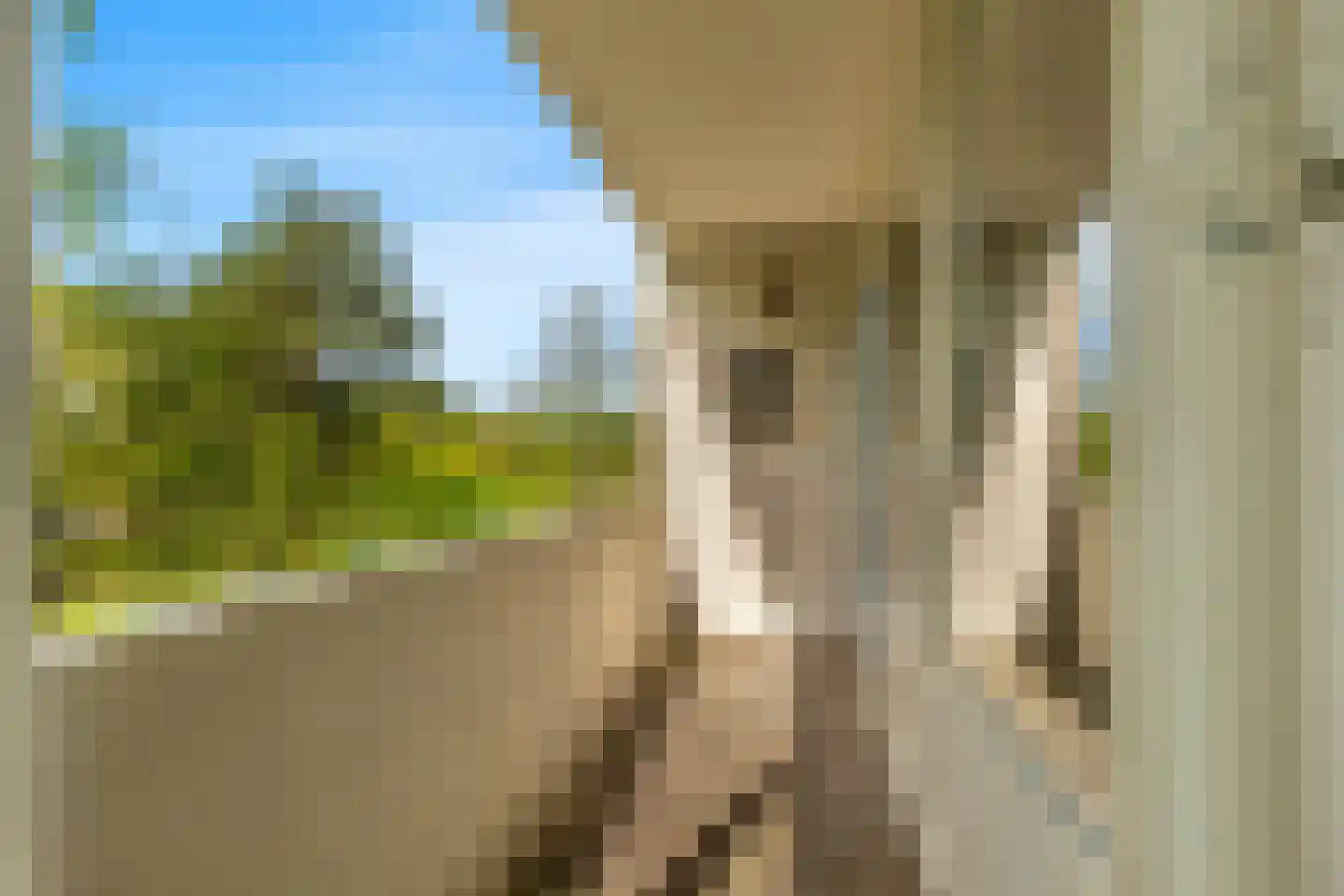 Honthorstlaan 186 Alkmaar thumbnail 16