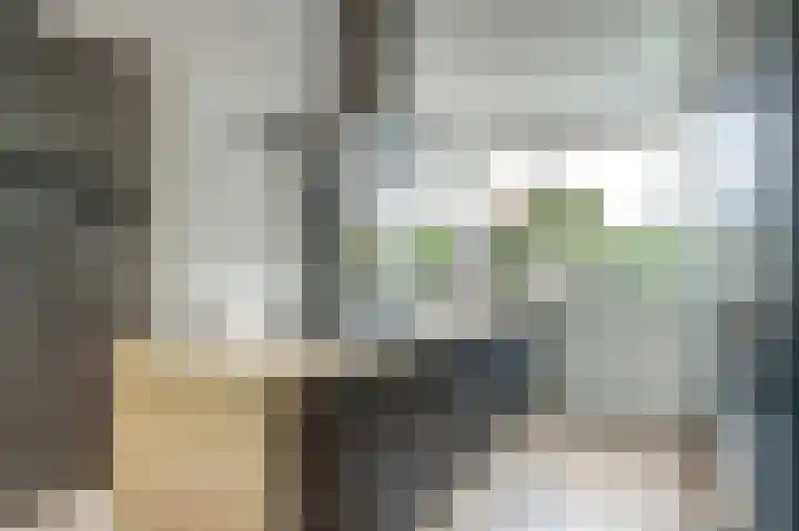 Honthorstlaan 2 Heerhugowaard thumbnail 13