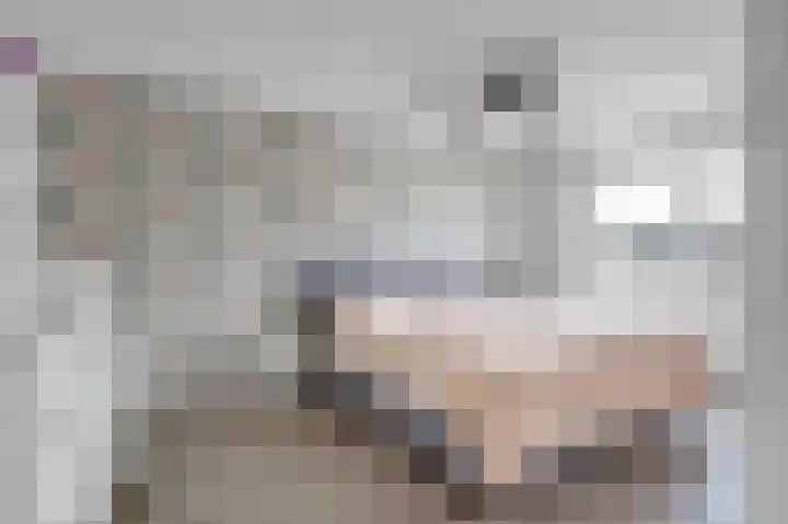 Honthorstlaan 2 Heerhugowaard thumbnail 15