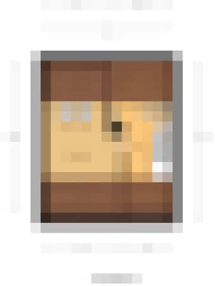 Honthorstlaan 2 Heerhugowaard thumbnail 35