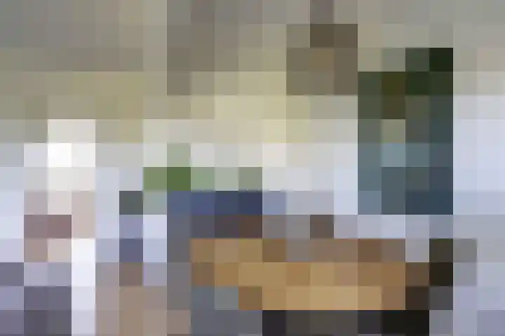 Honthorstlaan 216 Alkmaar thumbnail 18