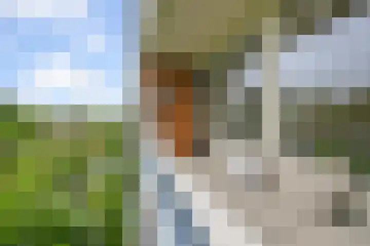 Honthorstlaan 218 Alkmaar thumbnail 19