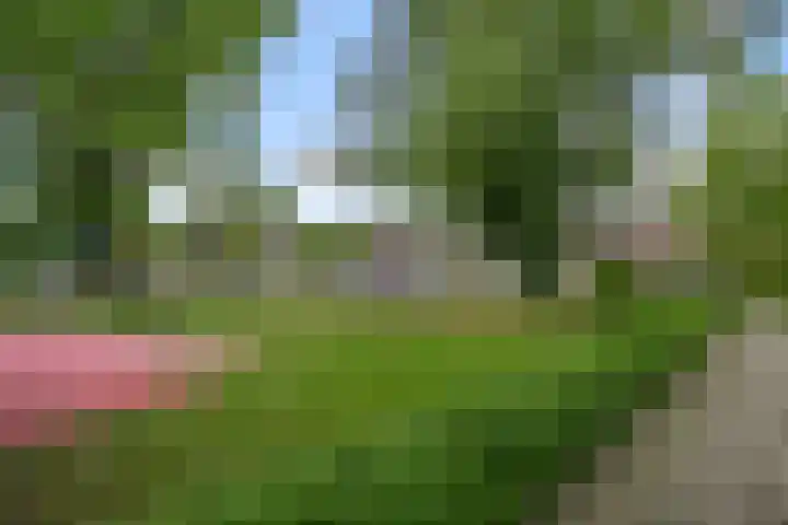 Honthorstlaan 218 Alkmaar thumbnail 26