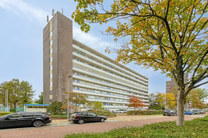 Honthorstlaan 254 in Alkmaar Foto