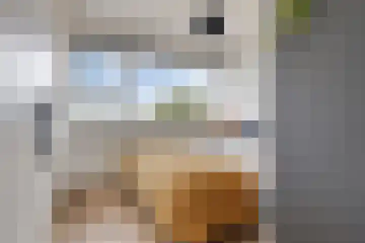 Honthorstlaan 254 Alkmaar thumbnail 24