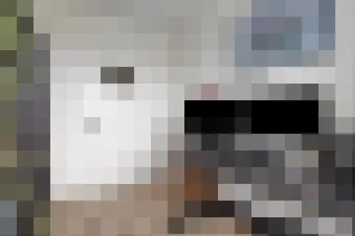 Honthorstlaan 254 Alkmaar thumbnail 30