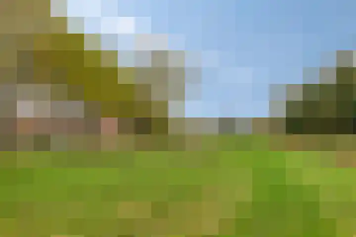 Honthorstlaan 254 Alkmaar thumbnail 40
