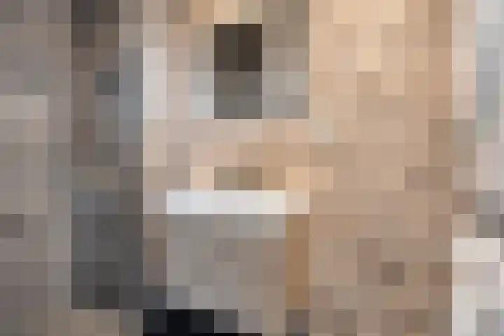 Honthorstlaan 254 Alkmaar thumbnail 5